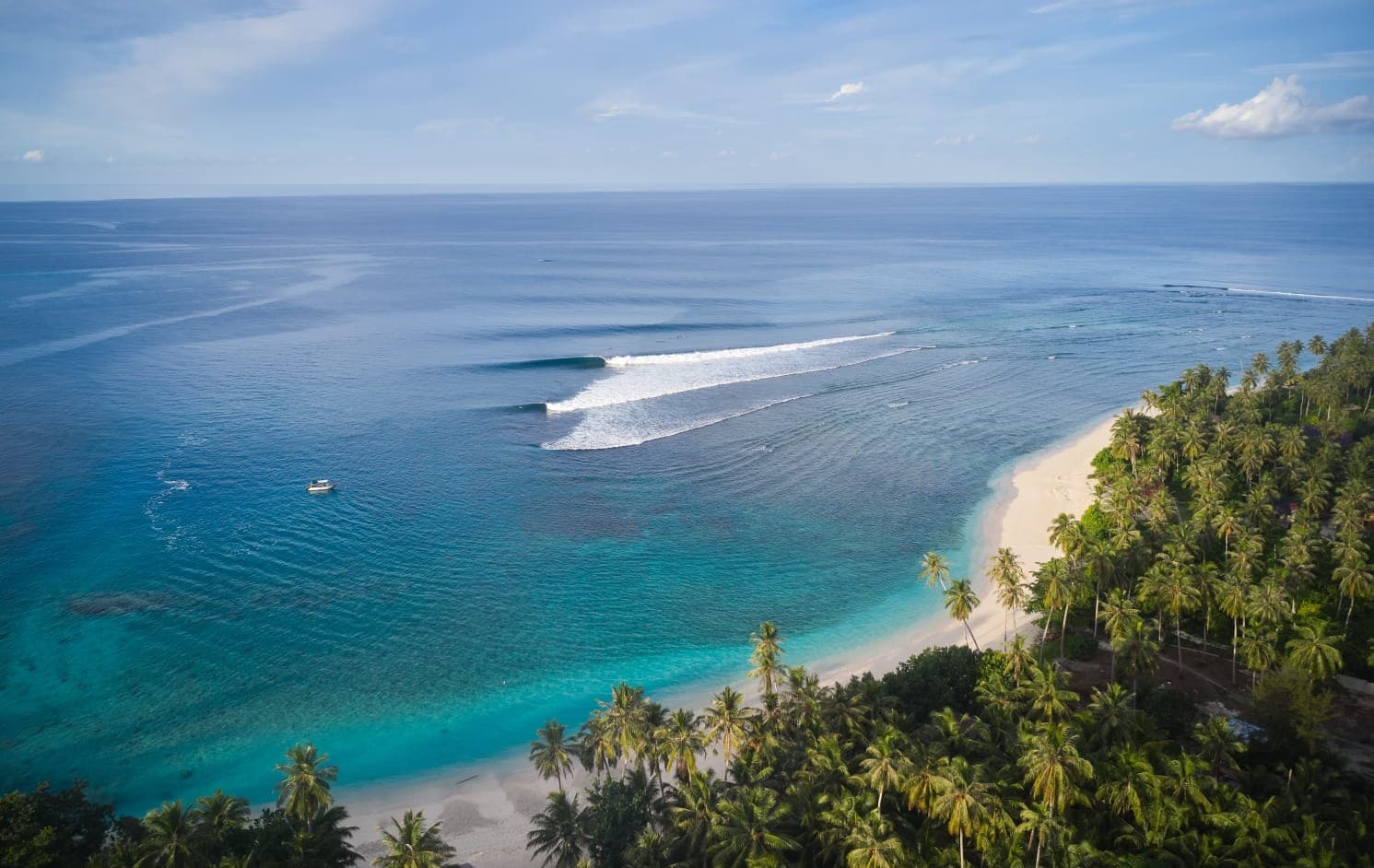The reef from the air, a clean wave peeling past the beach and the palms